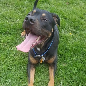 Meet your Posher, Lora